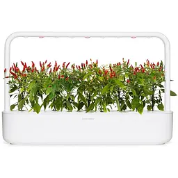 Змінний картридж Click & Grow Smart Garden Пірі-пірі чилі, 3 капсули (1401) - мініатюра 4