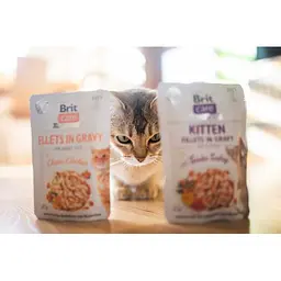 Вологий корм для кошенят Brit Care Kitten Fillets in Gravy Tender Turkey - мініатюра 3