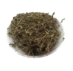Очанка лікарська Трава Euphrasia rostkoviana - мініатюра 1