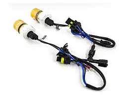 Ксенонова лампа Infolight H11 5000К +50