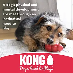 Жувальна ігрушка для прорізування зубів для цуценят KONG Puppy Teething Stick - мініатюра 4