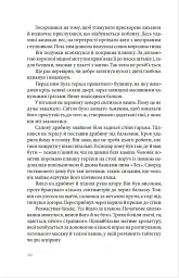 Палій - мініатюра 4