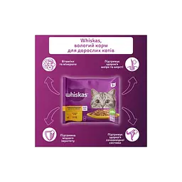 Вологий корм для кішок Whiskas курка, індичка в желе 4х85 г (4770608263676) - мініатюра 3