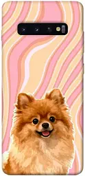 TPU чохол Demsky Pastel spitz для Samsung Galaxy S10+