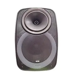 Професійна Bluetooth колонка NDR-A55 15-дюймова з бездротовим мікрофоном - мініатюра 5