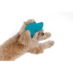 Кепка Pet Fashion Topaz для собак S - мініатюра 3