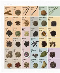The Science of Spice - мініатюра 3