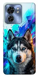 TPU чохол Demsky Husky magic для Motorola Edge 40