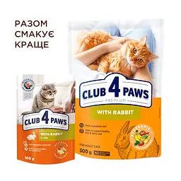 Сухий корм для котів Club 4 Paws Premium з кроликом 300 г - мініатюра 7