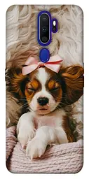 TPU чохол Demsky Sleepy spaniel для Oppo A5 (2020) / Oppo A9 (2020)