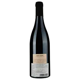 Вино Boissy & Delaygue Prince de Gray AOP Saint-Joseph 2018 червоне сухе 0.75 л - мініатюра 2