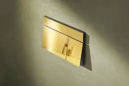 Кнопка змиву для інсталяції Hansgrohe iFrame Element E поліроване золото 66003990 - мініатюра 2
