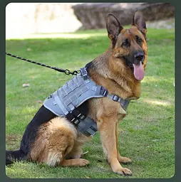 Шлейка для собак Vest, тактичний жилет з ручкою і системою MOLLE, регульований, Сірий L - мініатюра 5