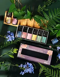 Ефірна олія Kinscoter Essential Oil Set 6 bottles, 6*10 мл