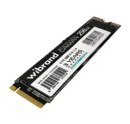 Твердотільний накопичувач SSD 256Gb, Caiman Wibrand teh0023746 - мініатюра 3