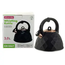 Чайник із свистком Kamille KM-0867 3.0 л - мініатюра 10