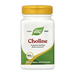 Холін Choline 500 мг 100 таблеток