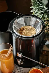 Соковитискач Adler AD 4132 dark inox 600Вт/ контейнер для соку-0,45л/ контейнер для м'якоті-1,5л - мініатюра 7