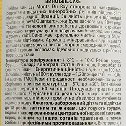Вино Les Monts du Roy Piere Dumonte Blanc, біле, сухе, 11,5%, 0,75 л - мініатюра 3