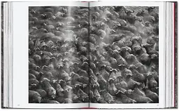 Sebastiao Salgado. Genesis. 45th Edition - мініатюра 13