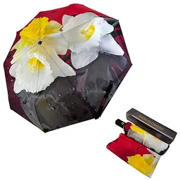 Жіноча парасолька автомат Rain acs0027870