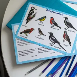 Зимові спостереження для дошкільнят та учнів 1-х класів - мініатюра 2