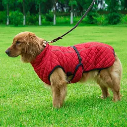 Зимове пальто для собак Derby D84 Red 2XL