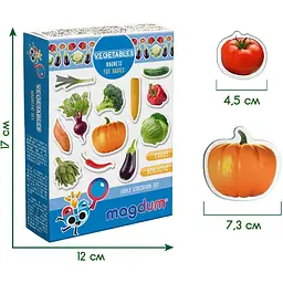Набір магнітів Magdum Овочі ML4031-12 EN - мініатюра 3