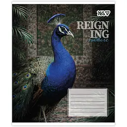 Зошит шкільний Yes Reign ing А5 24 аркуші лінія 20 шт. (769093) - мініатюра 2