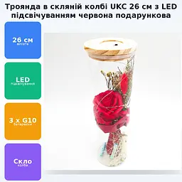 Троянда в скляній колбі UKC з LED підсвічуванням подарункова експозиція в коробці 26 см червона - мініатюра 12
