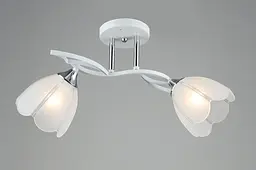 Люстра стельова на кухню Sirius B N6046/2 WT+CR на 2 плафони