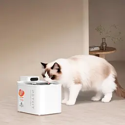 Поїлка для тварин Petkit Eversweet Max 2 UVC (P4116-UVC) [159038] - мініатюра 5