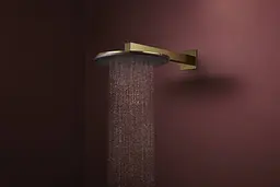 Верхній душ Hansgrohe Raindance Alive S 300 2jet EcoSmart з тримачем polished gold optic 24541990 - мініатюра 3