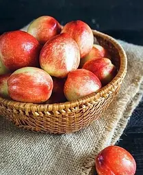 Саджанець Agro-Market Нектарин Рубіновий (лисий персик, літній сорт, середній термін дозрівання) (15918) 1 шт. в упаковці - мініатюра 4