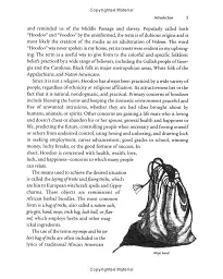 Sticks, Stones, Roots Bones: Hoodoo, Mojo Conjuring with Herbs - Stephanie Rose Bird - мініатюра 14