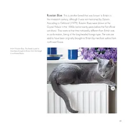 The British Museum Book of Cats - мініатюра 5