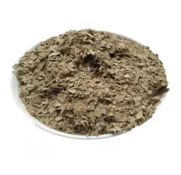 Евкаліпт Листя Eucalyptus globulus - мініатюра 1