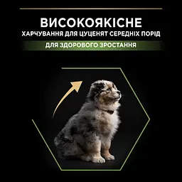 Сухий корм для цуценят та молодих собак середніх порід Purina Pro Plan Puppy Medium, з куркою, 12 кг (12375807) - мініатюра 5