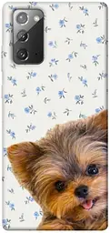 TPU чохол Demsky Cute Yorkie для Samsung Galaxy Note 20