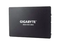 SSD-накопичувач Gigabyte 256 GB (GP-GSTFS31256GTND)