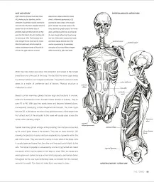 Anatomy for the Artist - мініатюра 5