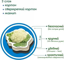 Набір магнітів Magdum "Овочі" ML4031-12 EN - мініатюра 9