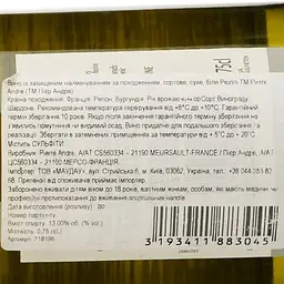 Вино Pierre Andre Rully AOP 2022 біле сухе 0.75 л - мініатюра 4
