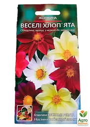 Жоржина "Веселі хлопці" Весна 0.2г (21913) - мініатюра 2