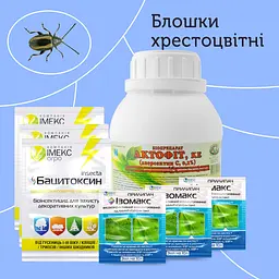 Бакова суміш від хрестоцвітної блошки