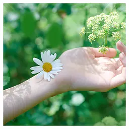 Гігієнічні прокладки Naturella Classic Maxi 8 шт. - мініатюра 6
