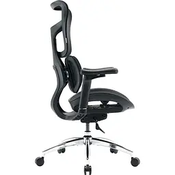 Крісло офісне Sihoo Doro S100 Mesh Black (S100-M301) - мініатюра 3