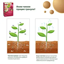 Тверде добриво тривалої дії для троянд COMPO 2 кг - мініатюра 9