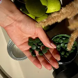 Спіруліна Health Hunter Spirulina 500 мг 300 шт. - мініатюра 2
