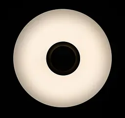 Люстра стельова LED Splendid Ray LY8339/36Wx2, 72W, біла, сучасний стиль з пультом і Bluetooth - мініатюра 6